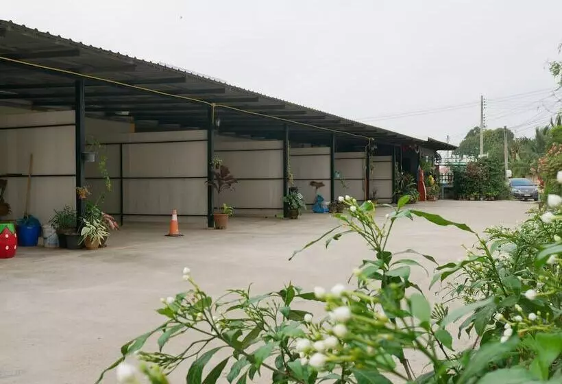 هتل Viriya Resort