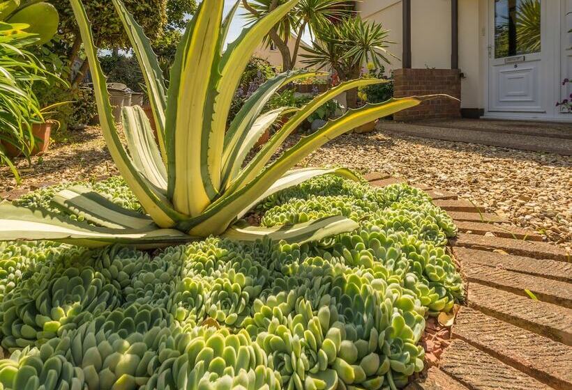 Beau Vallon Holiday Apartments