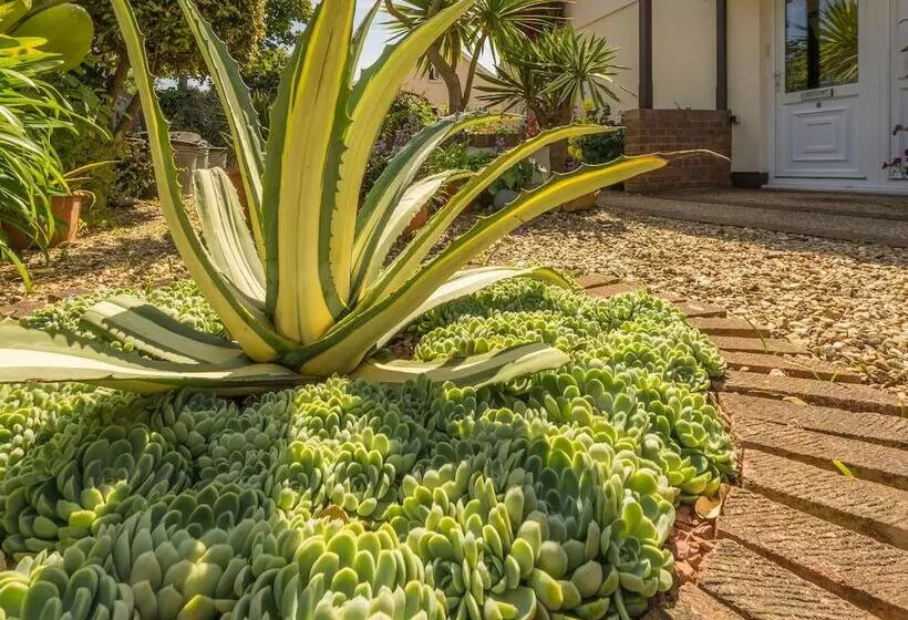 Beau Vallon Holiday Apartments