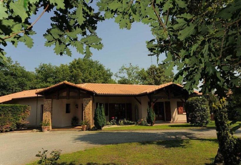 Bed and Breakfast Les Anthemis