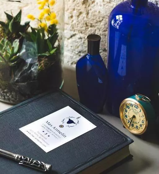 Aamiaismajoitus (B&B) Mas Armelin