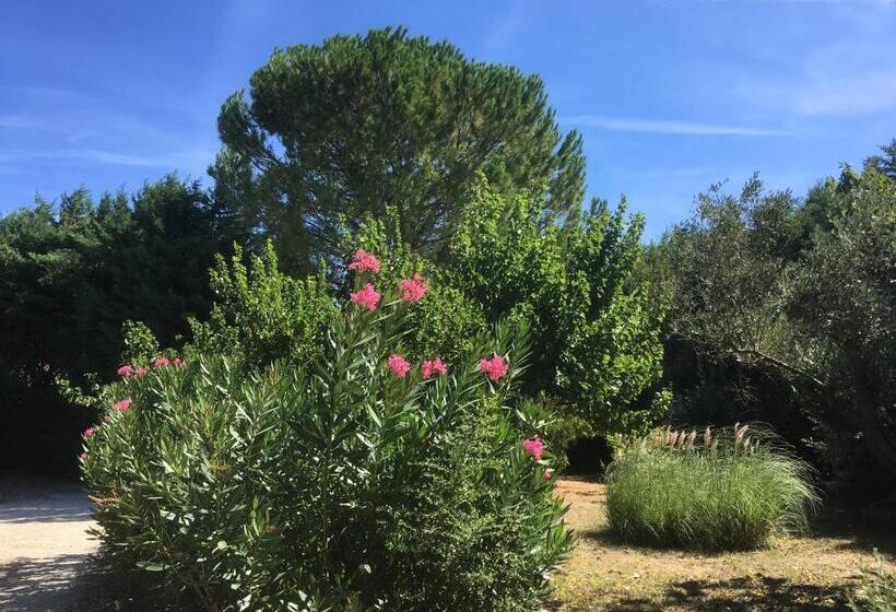 住宿加早餐  Mas Armelin