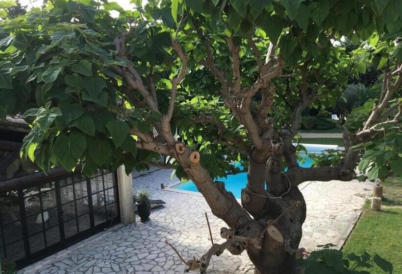 住宿加早餐  Mas Armelin