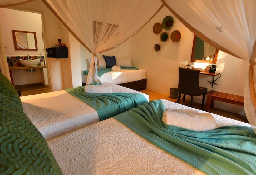 هتل Phezulu Guest Lodge