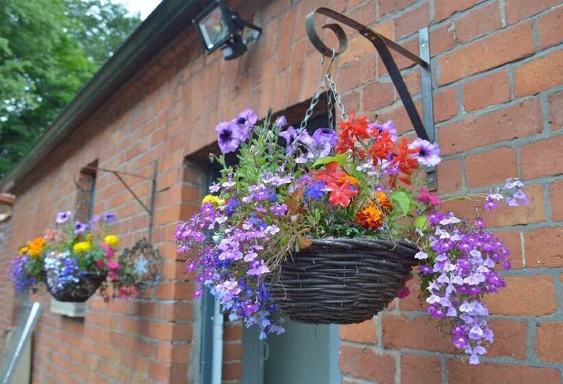 Пансион Glenmore Manor Guesthouse