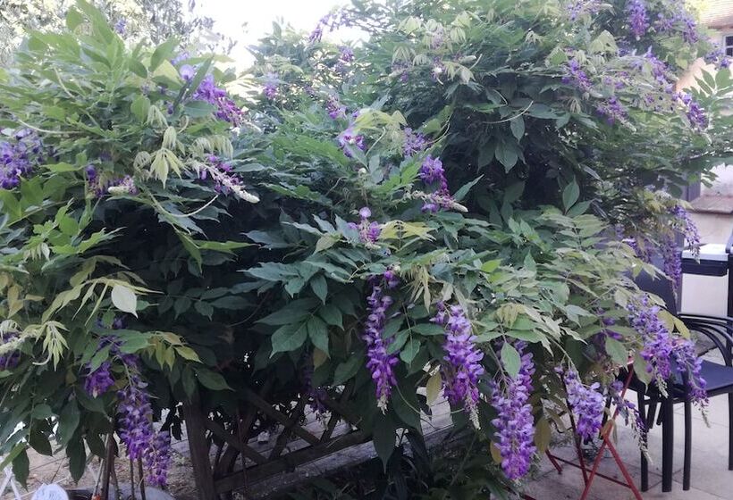 بنسيون Le Clos Des Oliviers