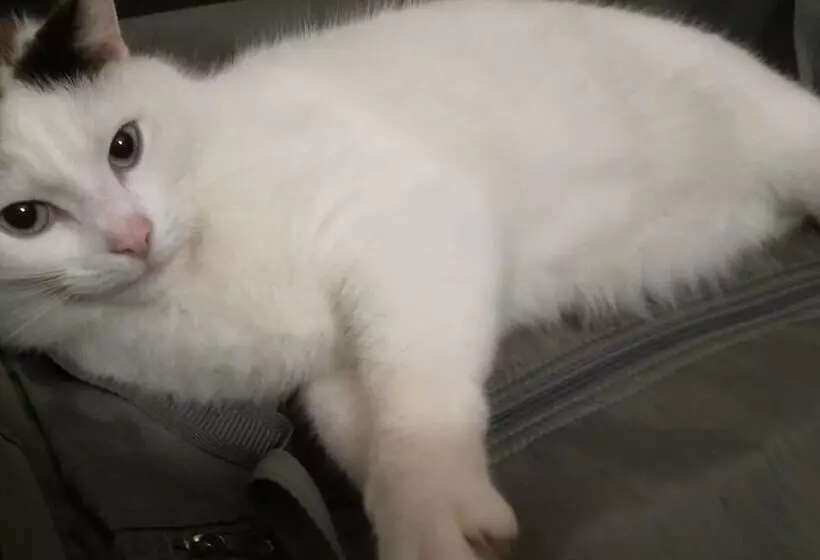 Majatalo Le Clos Des Oliviers