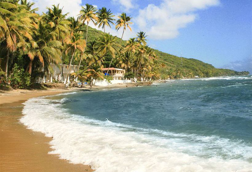 Caribe Playa Beach Resort