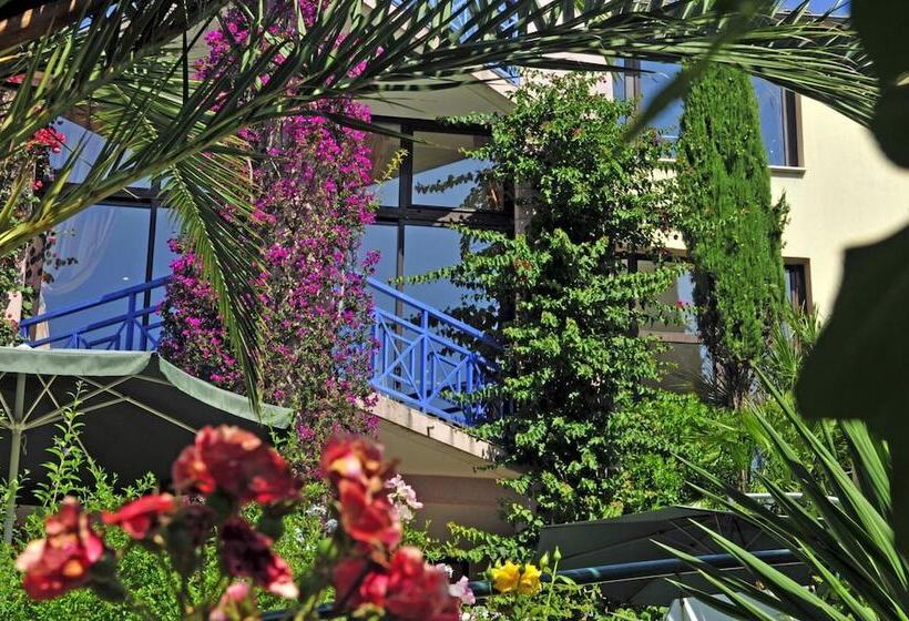 בית מלון כפרי Aec Village Vacances   Les Cèdres