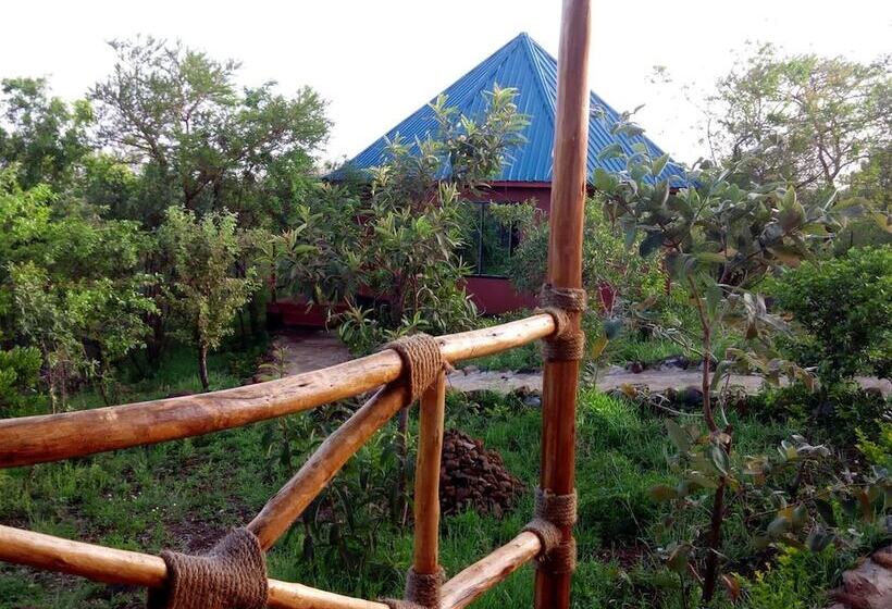 酒店 Ancestors Lodge