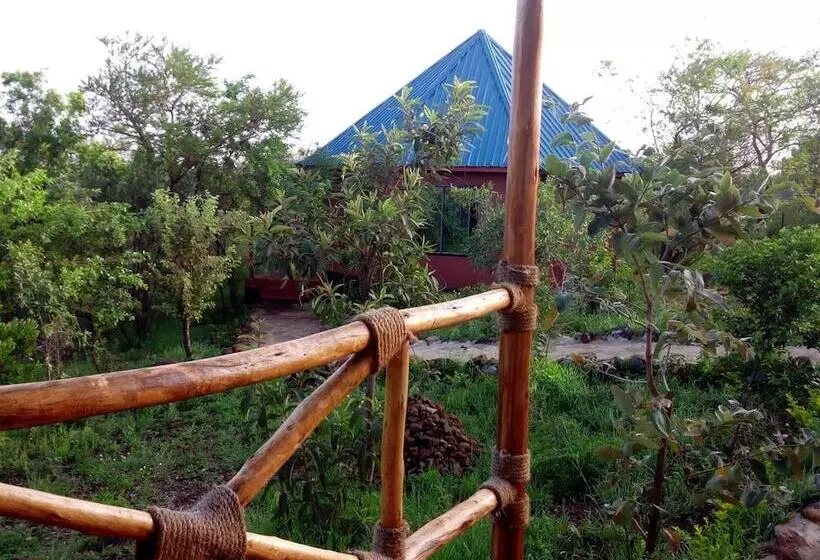 هتل Ancestors Lodge