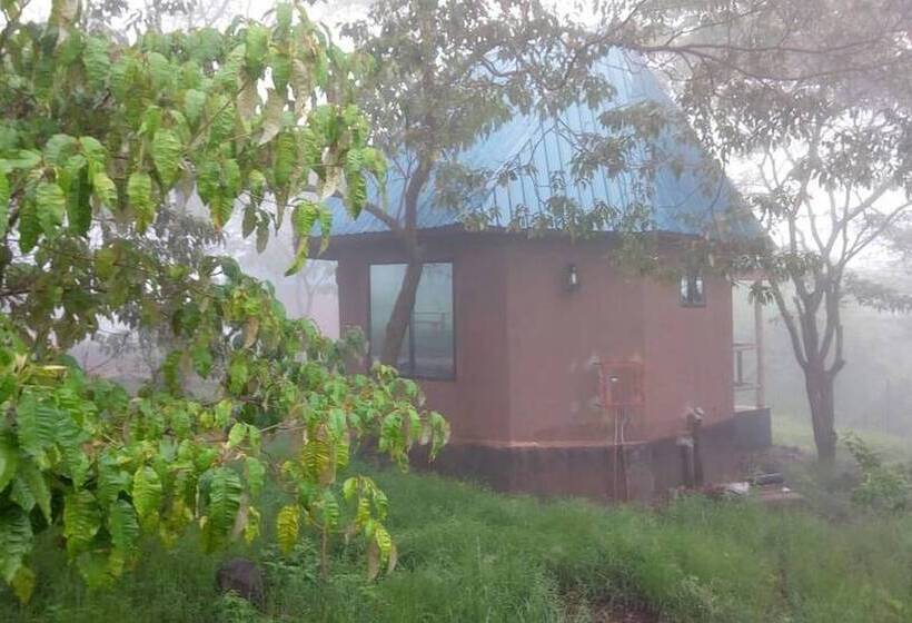 酒店 Ancestors Lodge