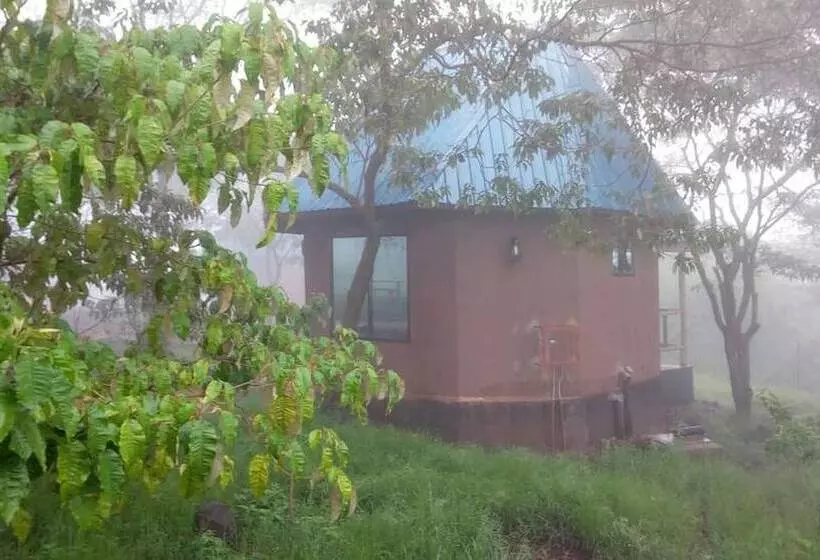 هتل Ancestors Lodge