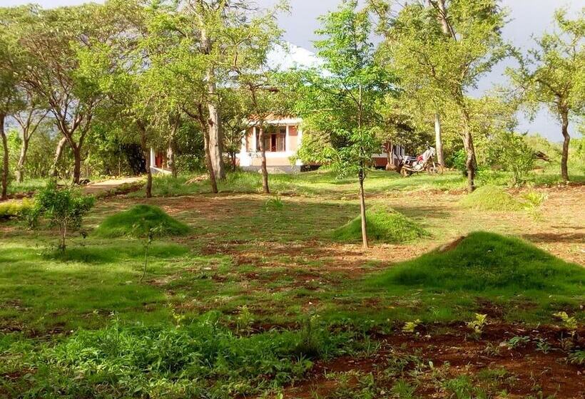 酒店 Ancestors Lodge