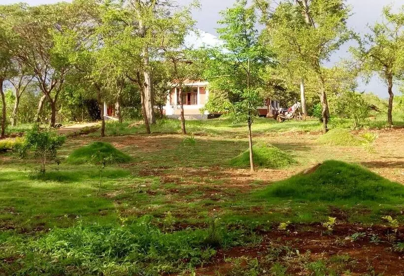 هتل Ancestors Lodge