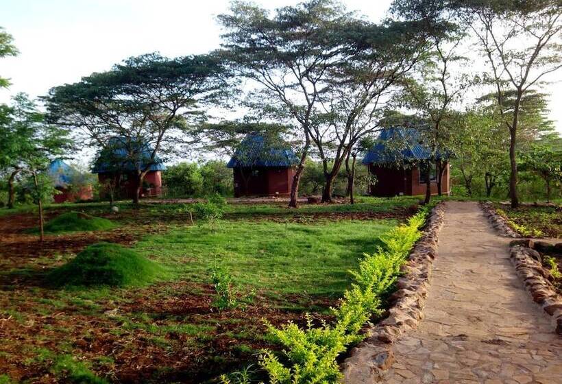 酒店 Ancestors Lodge