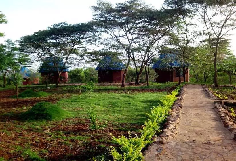 هتل Ancestors Lodge