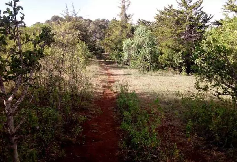 هتل Ancestors Lodge