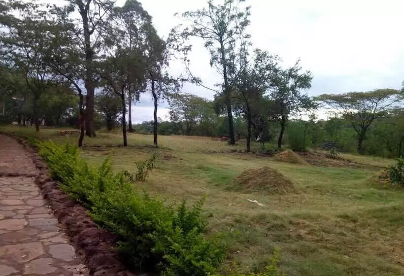 هتل Ancestors Lodge