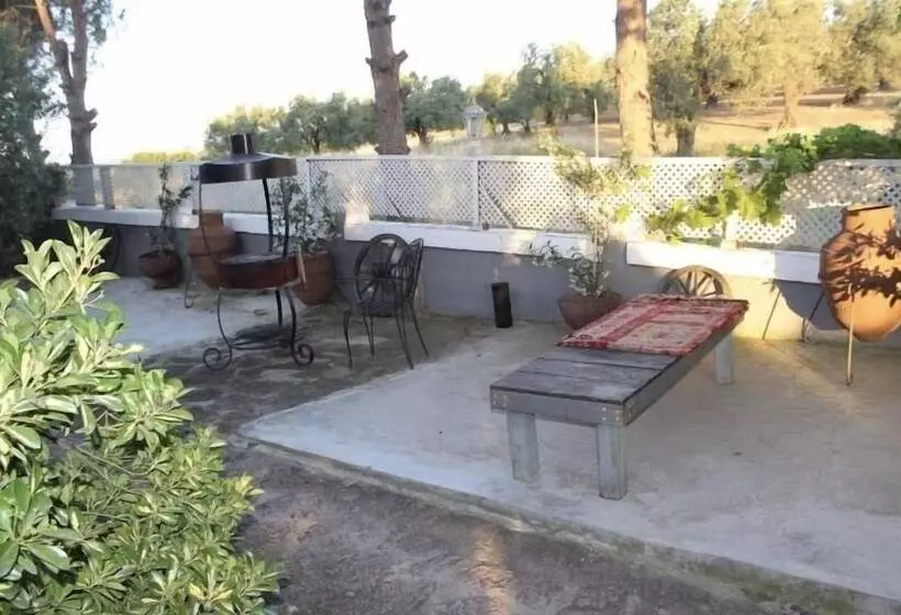 هتل Cumhur Yesilirmak Butiqe