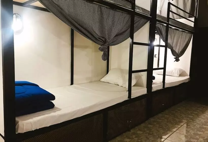 Oppa House Hostel   Adults Only
