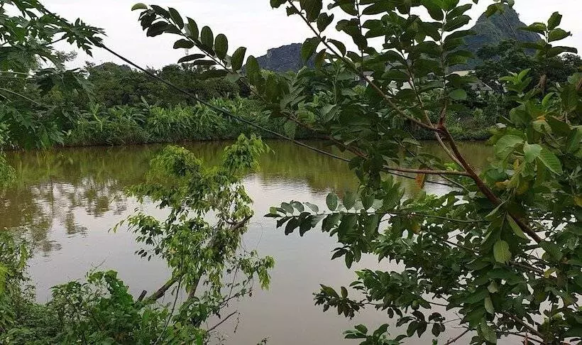 پانسیون Tuyet's Homestay