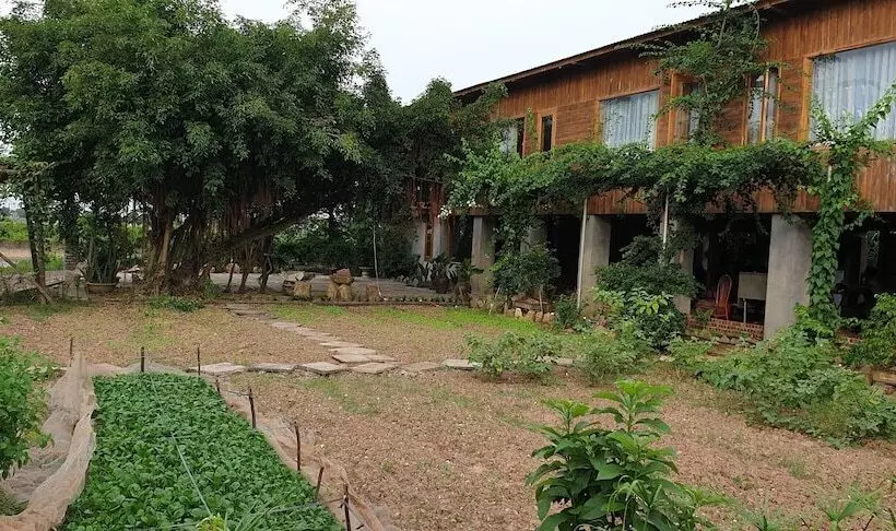 پانسیون Tuyet's Homestay