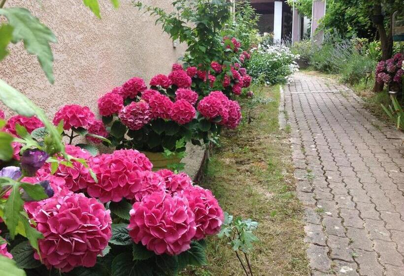 Bed and Breakfast Maison D Hôtes Le Beauséjour