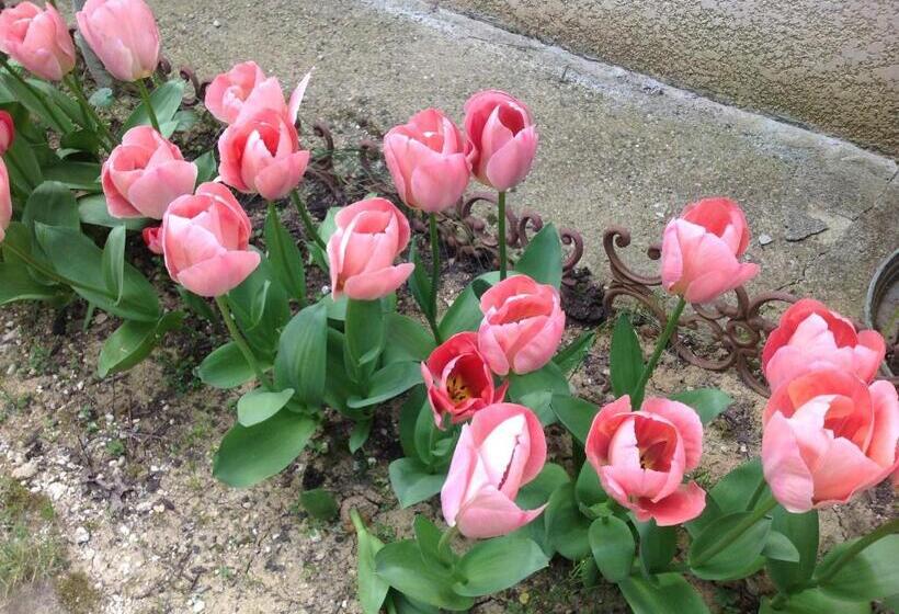 Bed and Breakfast Maison D Hôtes Le Beauséjour