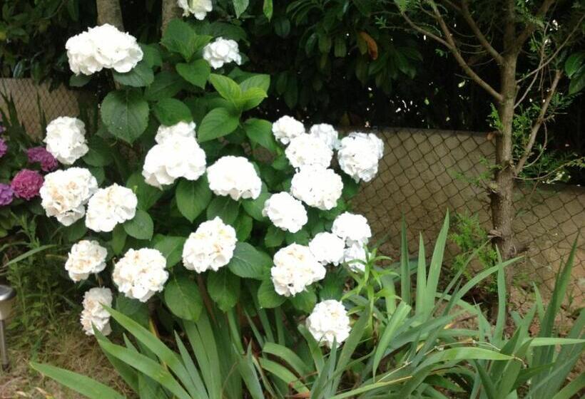 Bed and Breakfast Maison D Hôtes Le Beauséjour