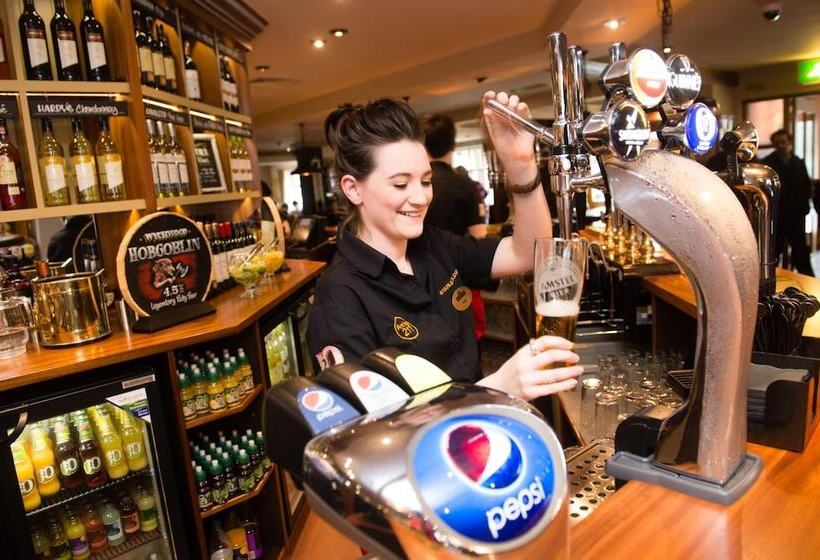 مسافرخانه Starling Cloud