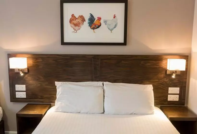 Hostal Starling Cloud