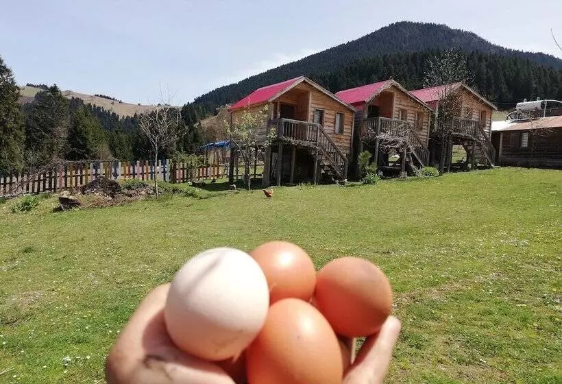 ホテル Pilav Dagi Yavuzyilmaz Tesisleri
