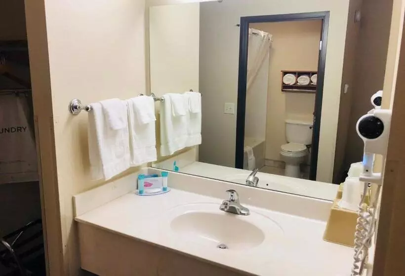 Hotelli Shenandoah Inn & Suites