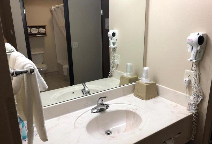 Отель Shenandoah Inn & Suites