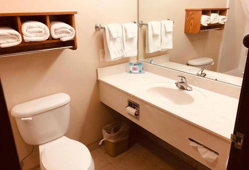 Отель Shenandoah Inn & Suites