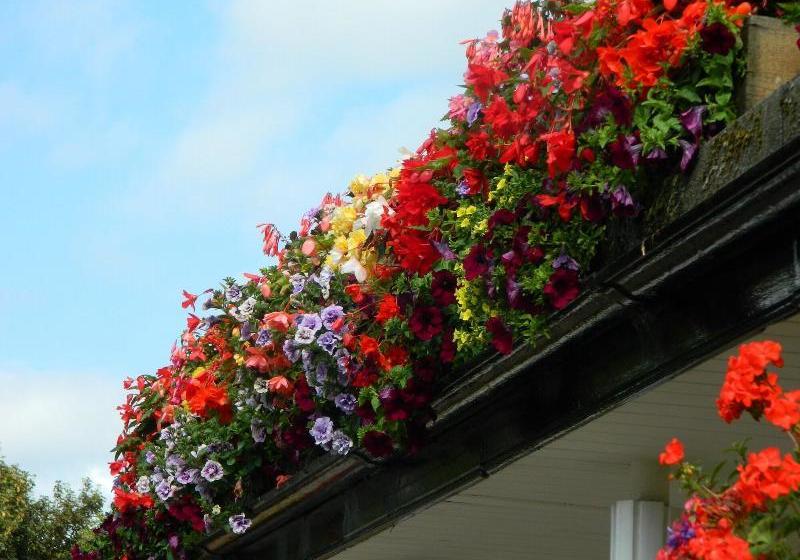 ベッドアンドブレックファースト Beambridge Inn