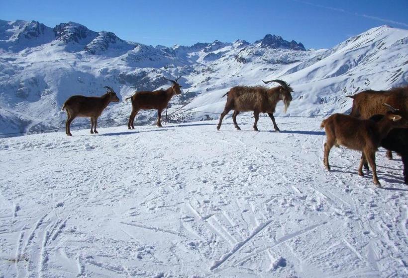 צימר Chambre D'hôtes Kiki & Coco