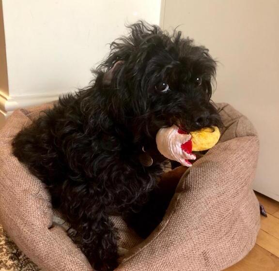 住宿加早餐  Georgiana S Guesthouse