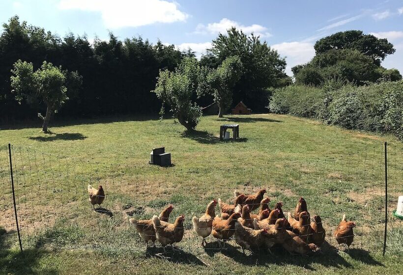 Colton Haggs Farm B&b