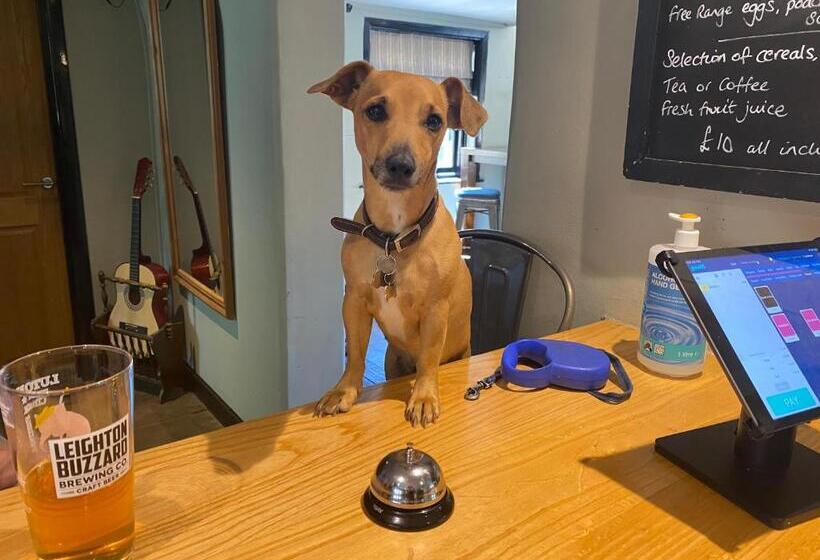 פונדק The Dukes