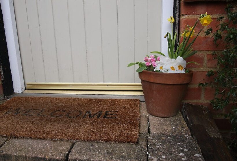 פונדק The Dukes