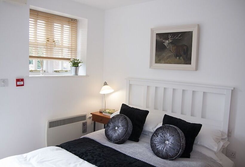 פונדק The Dukes