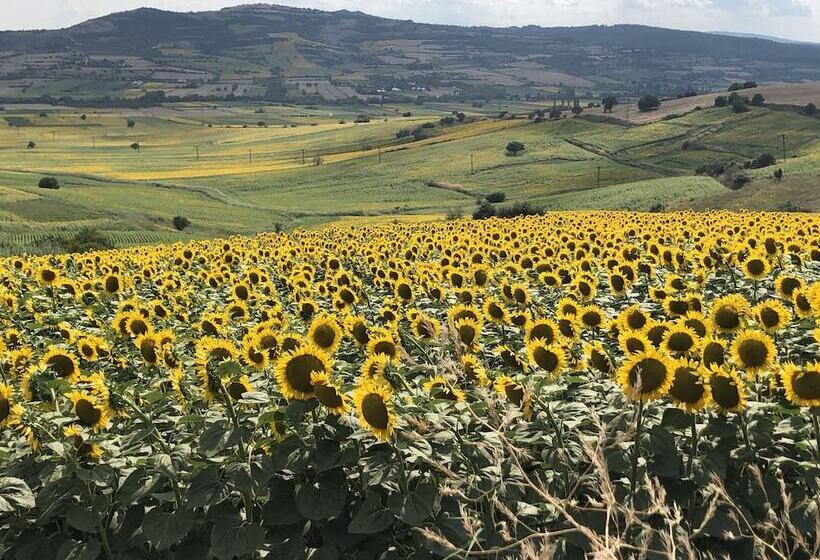 בית מלון כפרי 8 Rooms