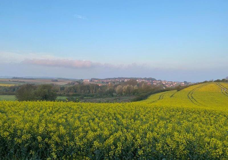فندق De La Plage