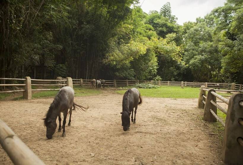 هتل Middle Path Retreat