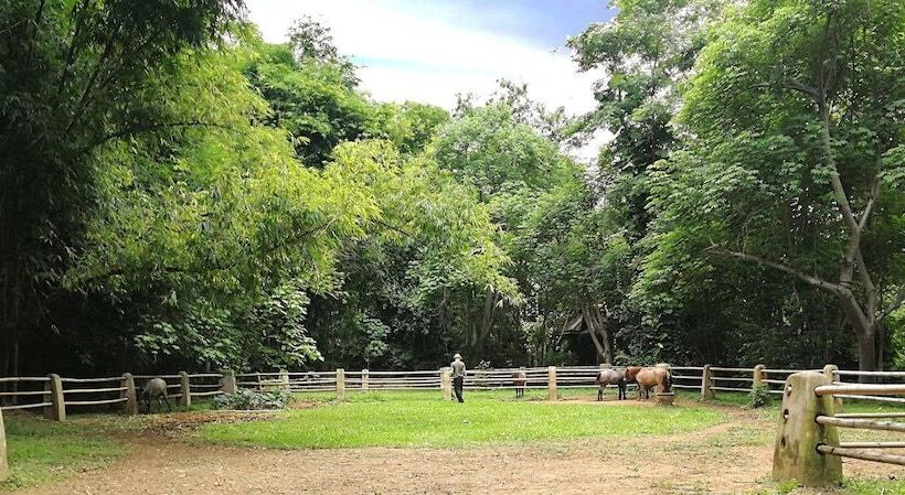 هتل Middle Path Retreat