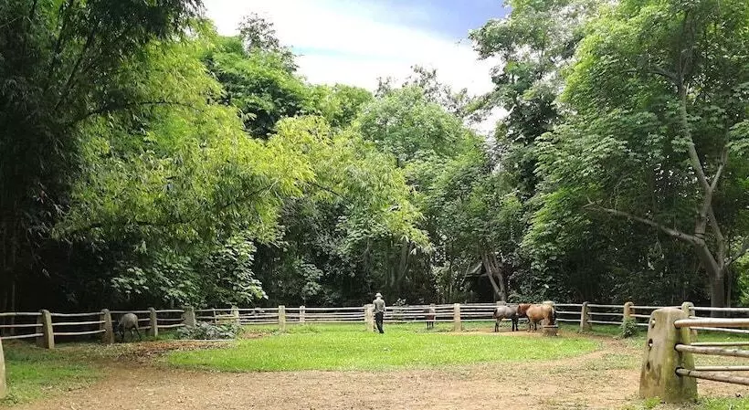 Hotelli Middle Path Retreat