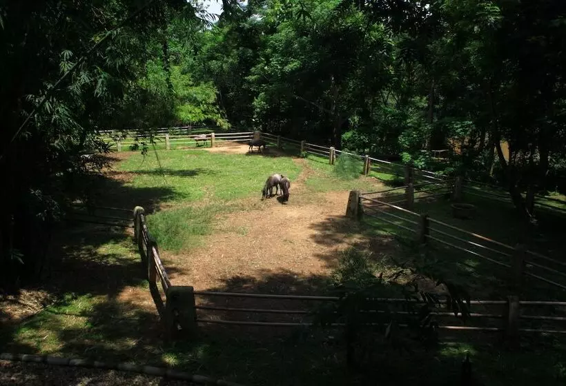 Hotelli Middle Path Retreat