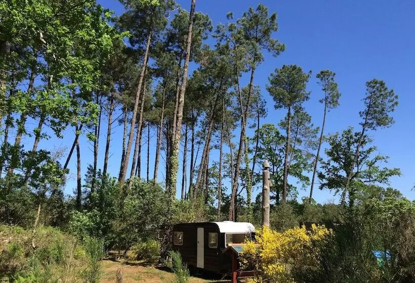 Majatalo Ocean Shelter